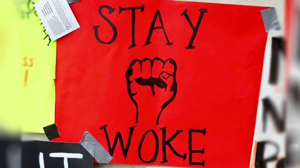Stay Woke / pseudo-left / sözde sol